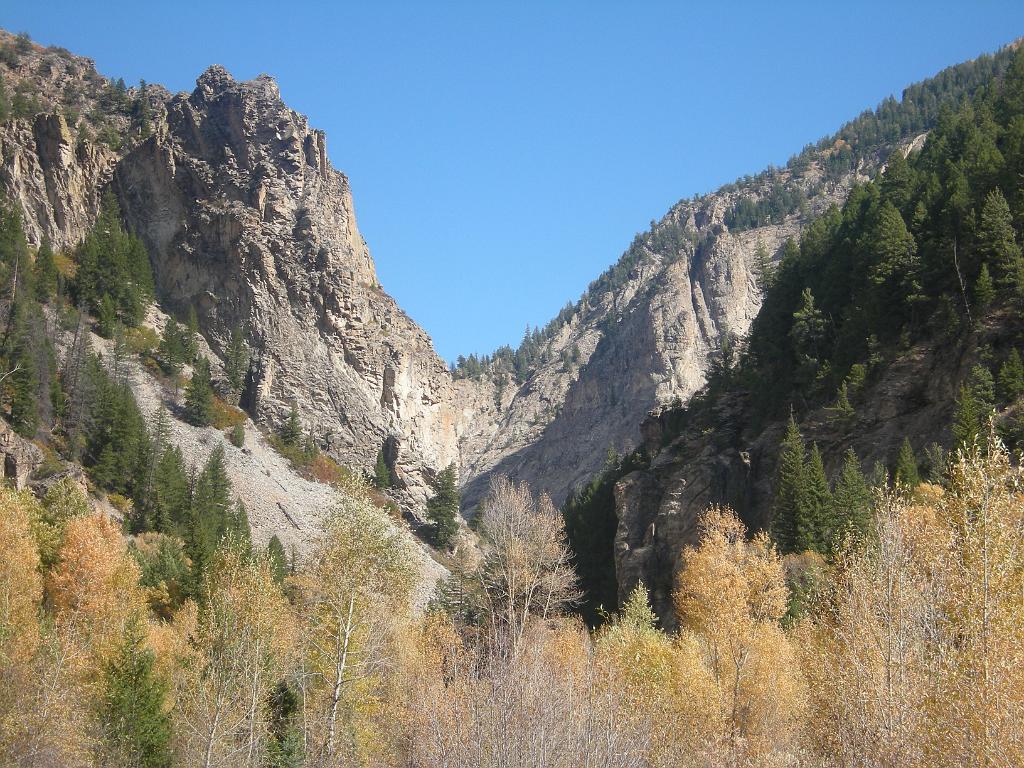 fall09 105